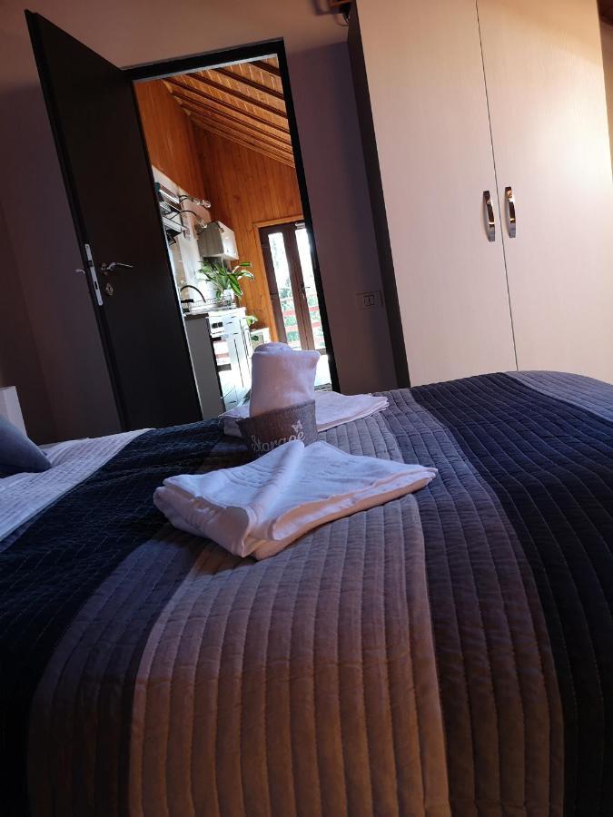 Snug Apartments - Private Parking Near Downtown Брашов Экстерьер фото