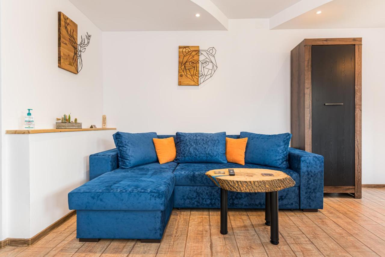 Snug Apartments - Private Parking Near Downtown Брашов Экстерьер фото