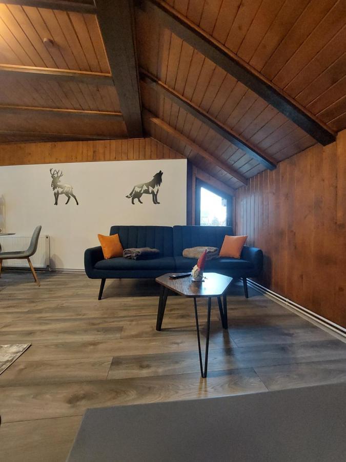 Snug Apartments - Private Parking Near Downtown Брашов Экстерьер фото