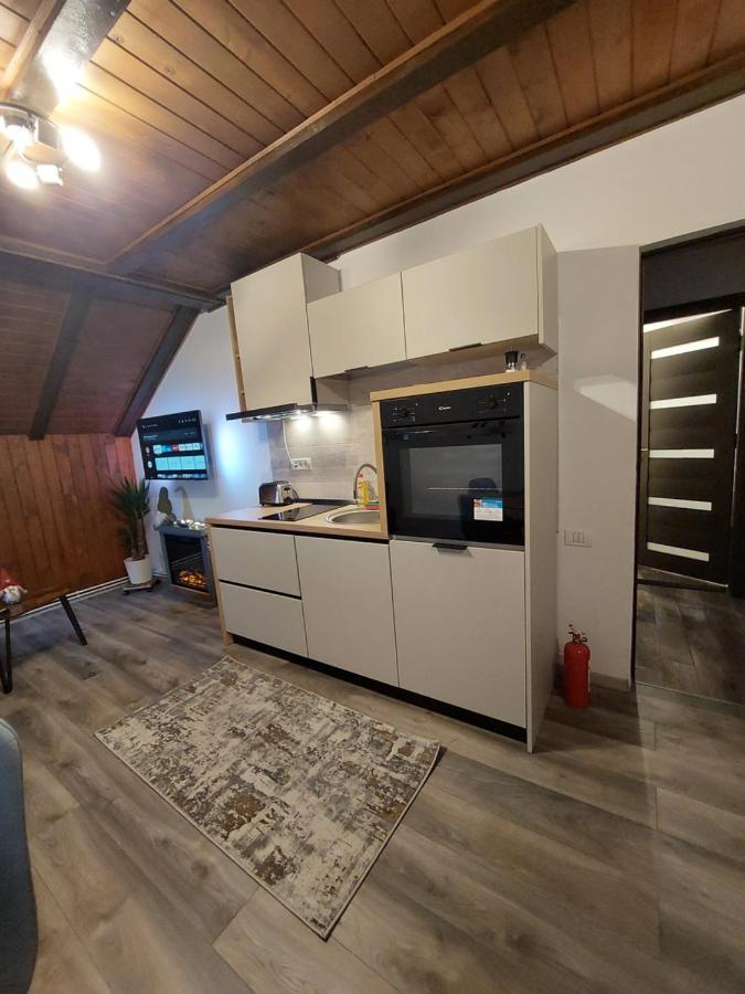 Snug Apartments - Private Parking Near Downtown Брашов Экстерьер фото