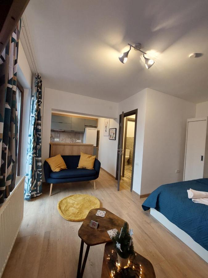 Snug Apartments - Private Parking Near Downtown Брашов Экстерьер фото