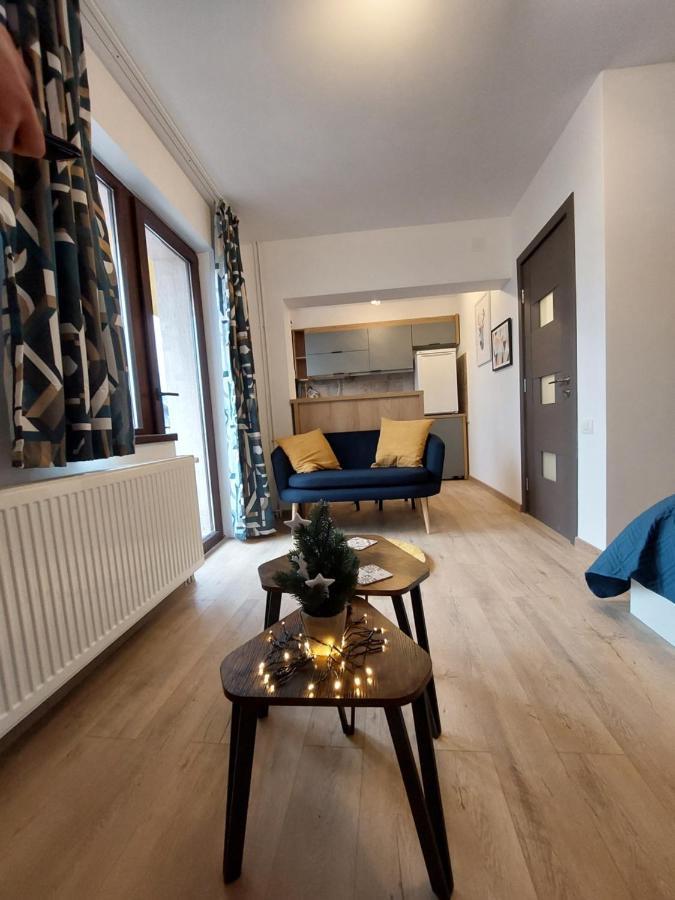 Snug Apartments - Private Parking Near Downtown Брашов Экстерьер фото