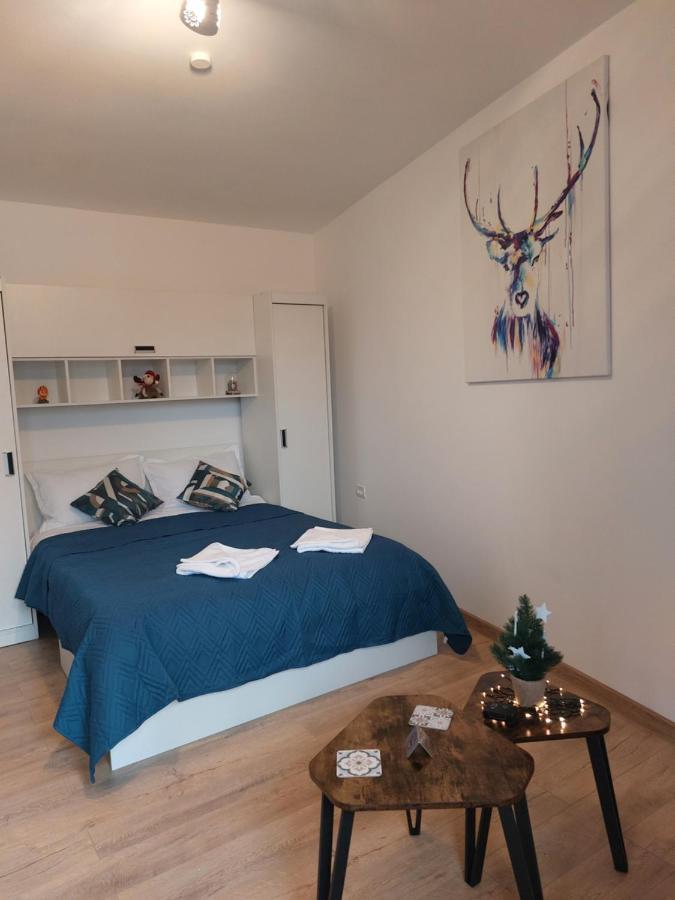 Snug Apartments - Private Parking Near Downtown Брашов Экстерьер фото